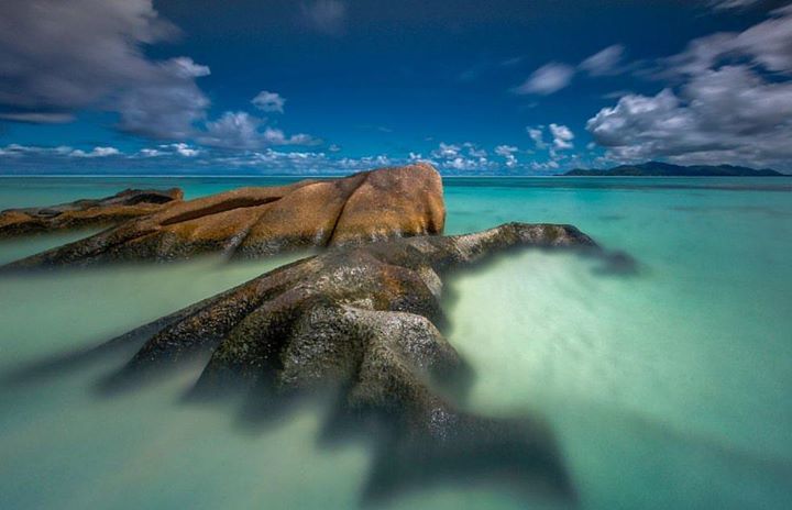 BlueOceanFilm's tweet photo. ↘
↠ 📷 @ ahmad hashmi
….
….
Hashtag your images with #blueoceanfilmfest to be featured!
….
….
#savetheocean #oceanm… https://t.co/XPohqRTRbs