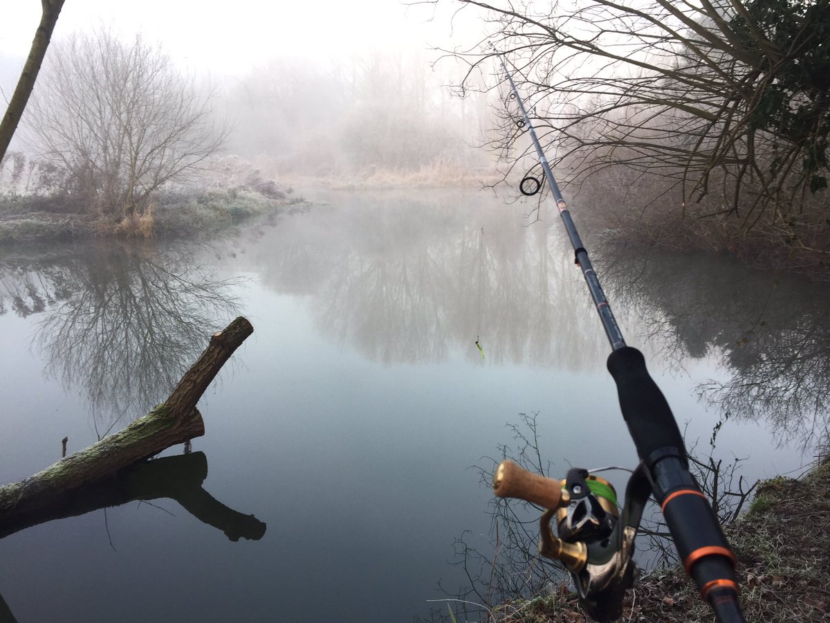 The new #shimano Cardiff is pretty sweet. Christened it with a tiny jack pike. Onwards and upwards. #norfolk #bure