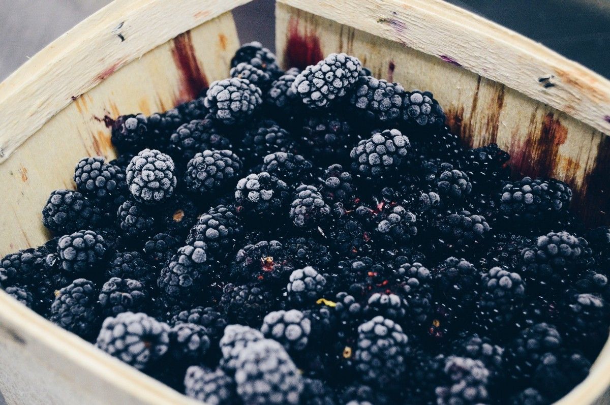 botanythoughts's tweet photo. Blackberries everywhere! Globally distributed, that is. https://t.co/kqoJMAn3vo https://t.co/ZllGTx6XmZ