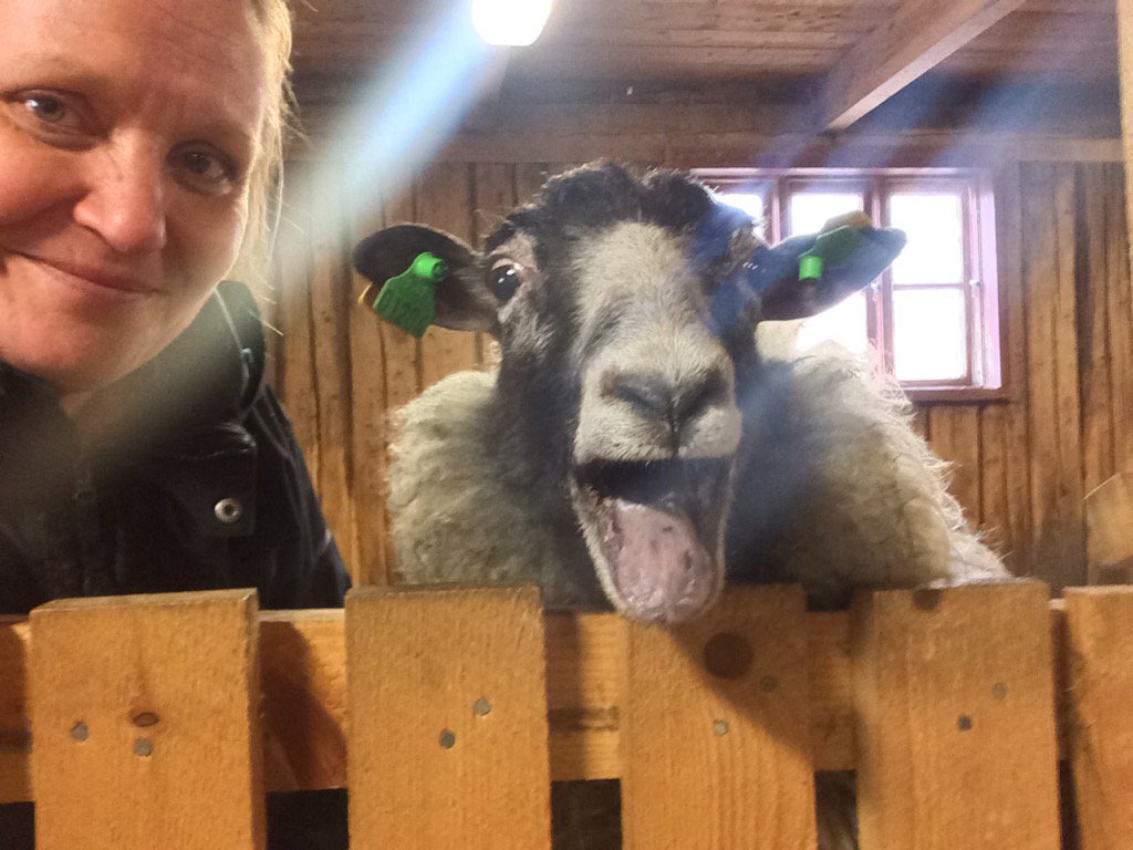 UllaOhman's tweet photo. Man får tacka! #5millreward https://t.co/UIxZNVvTmS