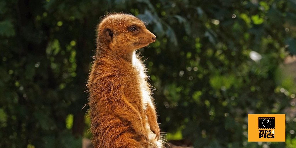 Se avecina concurso, con curso...
...qué ocurrentes estamos 🙃
¡Os iremos informando! Atentos tips4pics.com