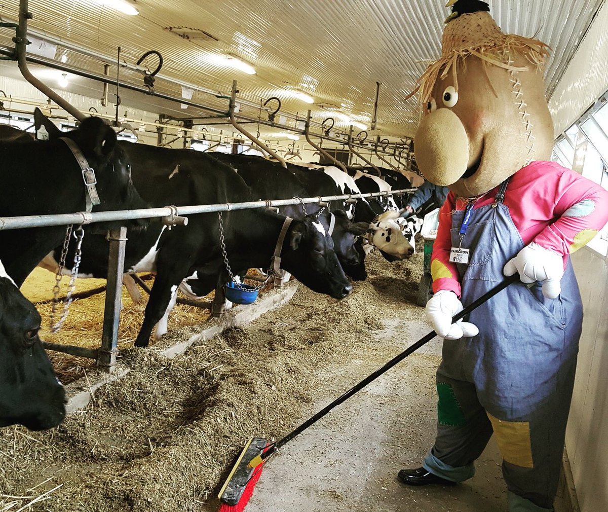 MarkhamFaircrow's tweet photo. #tbt to when I was helping out @hulsdalefarms. Excited for @HolsteinCanada convention here in #yorkregion in April. #faircrow #lendahand https://t.co/x6I8aqbvSI