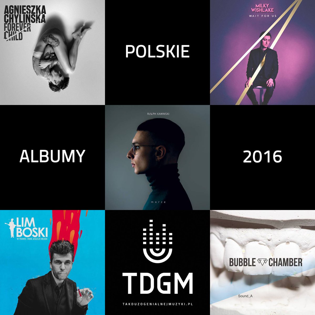 "Wait For Us" <a href="/milkywishlake/">WISHLAKE</a> w pierwszej piątce najlepszych polskich albumów 2016 wg Tak dużo genialnej muzyki.