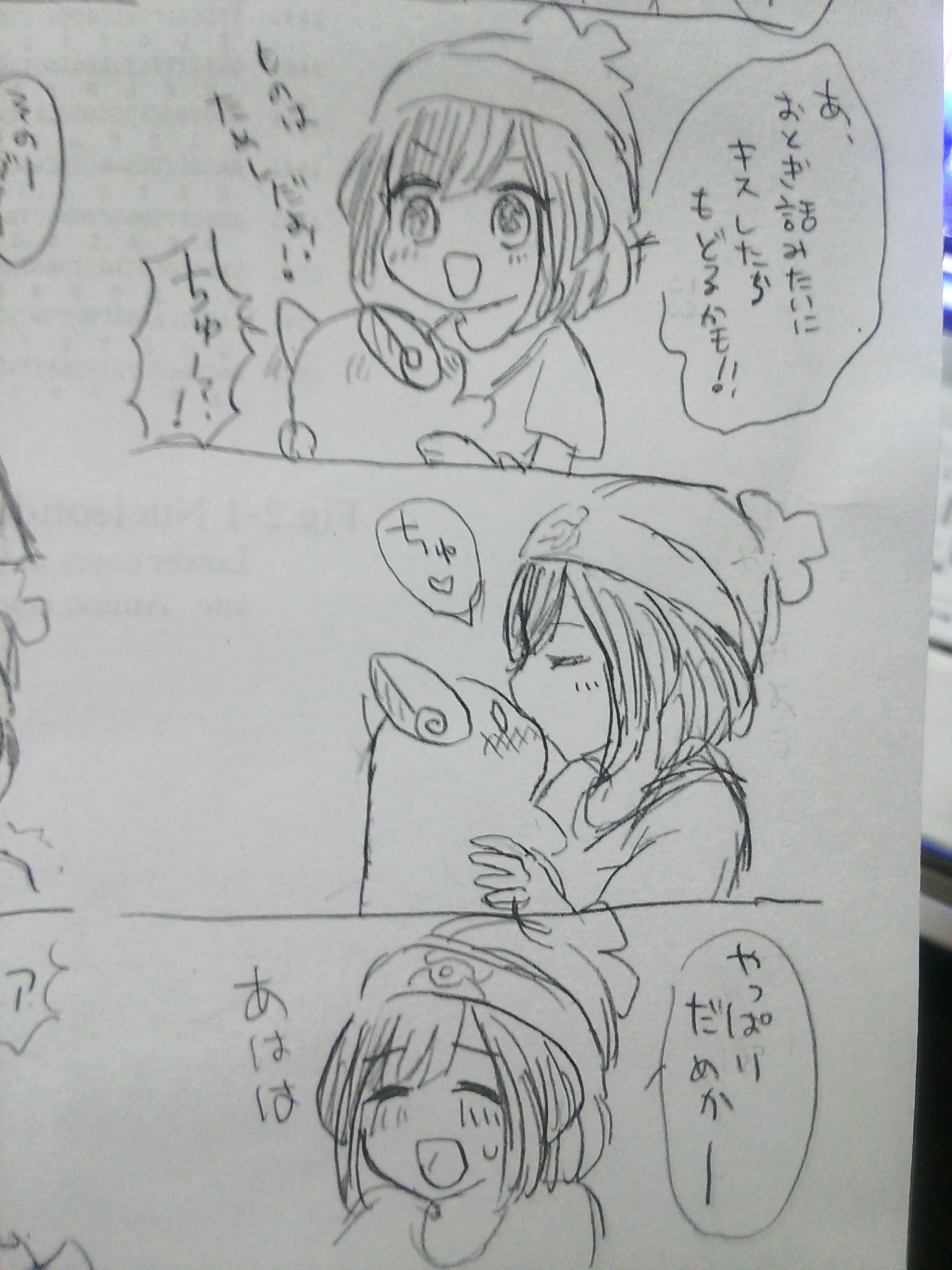 るる ハウとライチュウのなかみが入れ替わっちゃった おわり ハウミヅ