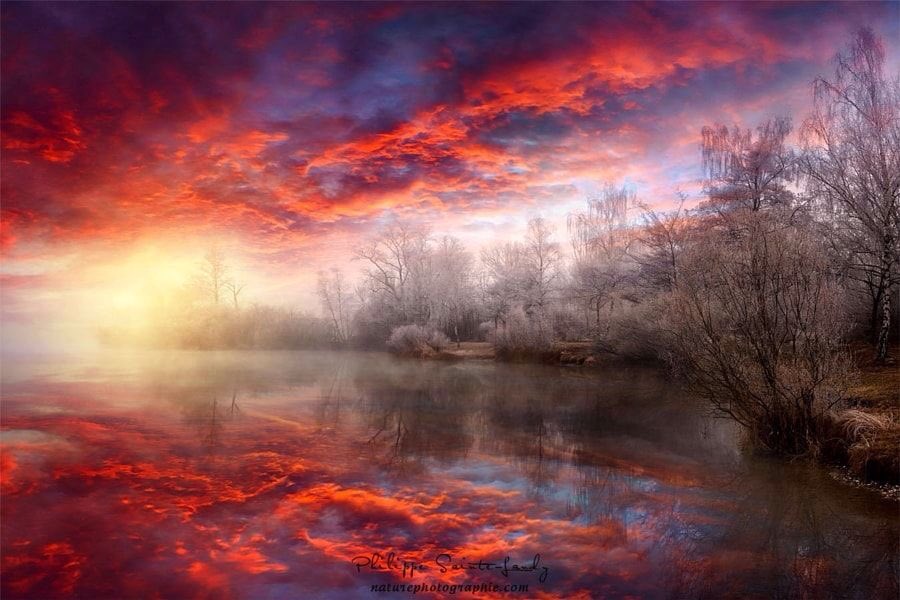 ramblingsloa's tweet photo. Everything we hear is an opinion, not a fact.
Everything we see is a perspective, not the truth.

Marcus Aurelius
Pic P Sainte-Laudy https://t.co/7frjCNMi4U