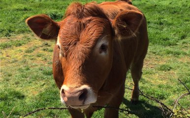 Inclusioncnwall's tweet image. Looking forward to speaking about equality, diversity &amp;amp; inclusion in #Cornwall at Diversity in Rural Region conference 2mrw with @cornwallmp