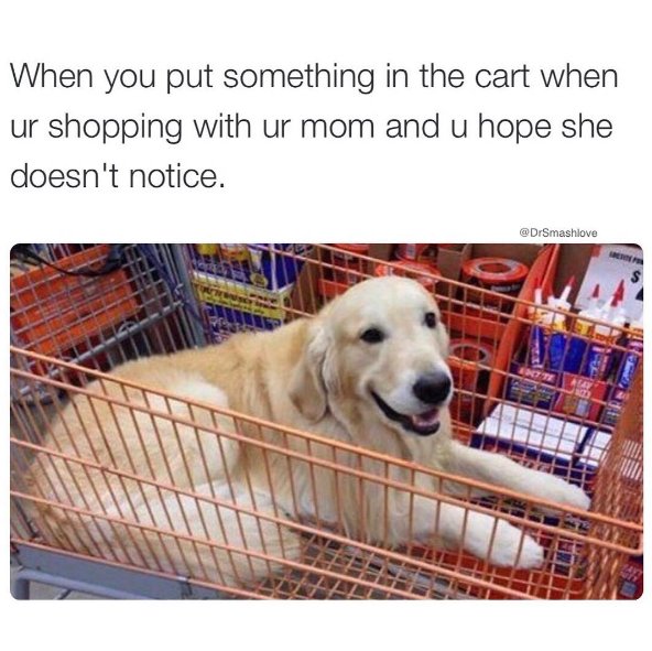 ladbible's tweet photo. I'm sure she won't notice... (instagram/drsmashlove) https://t.co/iDvjFnO6tk