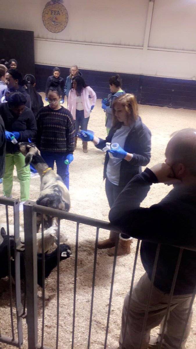 Ag and healthcare teams up again! Collecting specimens from the goats! <a href="/PollardAg/">Dr. Pollard</a> <a href="/CEO_NCCA/">Chad Walker</a> <a href="/NCSS_CTAE/">NCSS CTAE</a>