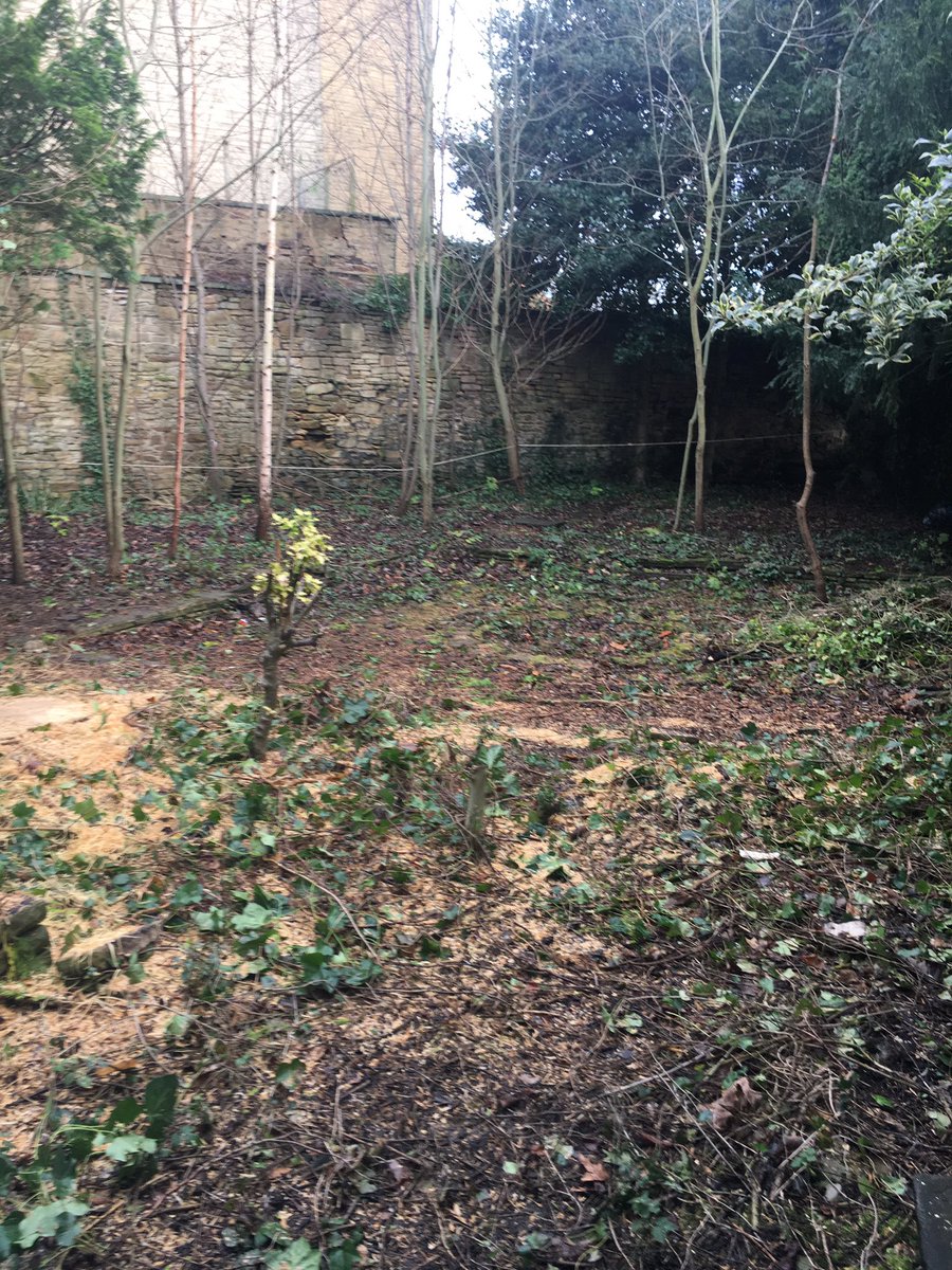 BroomhilLibrary's tweet photo. Let there be light. Garden clearance continues apace @gardencane @Oriel_House https://t.co/5Xj4F10R9L