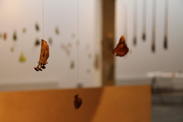 Suspension @Guest_Projects
Images from our collaboration with The Flavour Office (Alexandra Bildsoe)  alexandrabildsoe.com