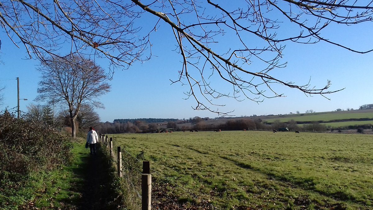 yogaed's tweet photo. A spot of mindful walking amongst big winter skies: on retreat in rural Norfolk :) #mindfulness #wellbeing @yogawithvikki @isabelchoat https://t.co/heSkQIejqo