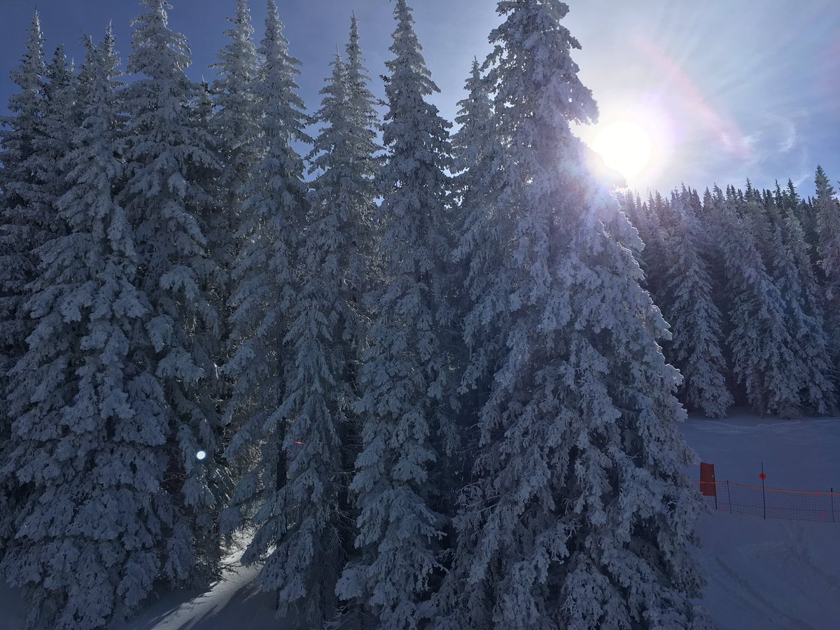 gburkNM's tweet photo. Such a fun weekend with fresh snow at @SkiSantaFe for #mediaskiday. If you haven't gone yet, you should! Now, back to work. https://t.co/H9zYD8IQM5