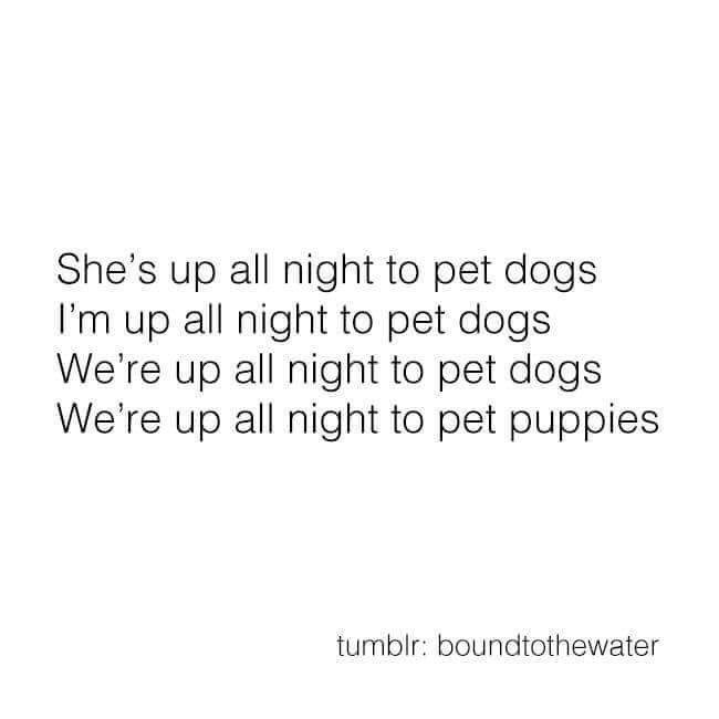 Jessica__Walker's tweet photo. 🐾🖤🐾 https://t.co/DsYysaASCy