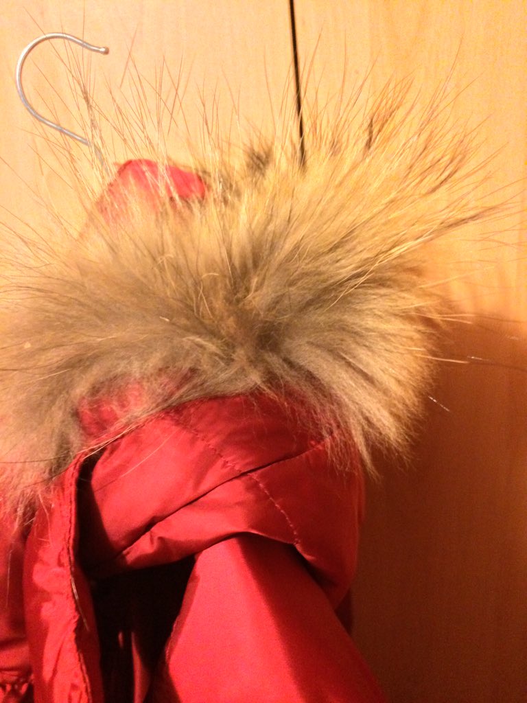 _aquipped tweet picture