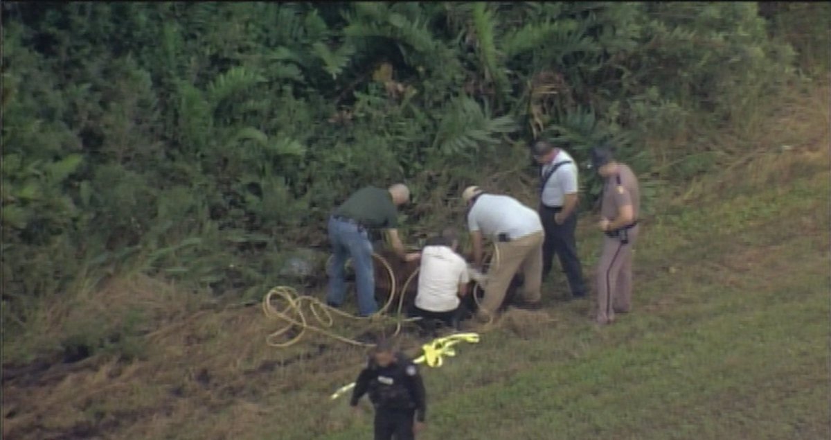 COW CAPTURED. The cow that was running on the Turnpike at Okeechobee Road has been wrangled. https://t.co/XwvYF1K9iu