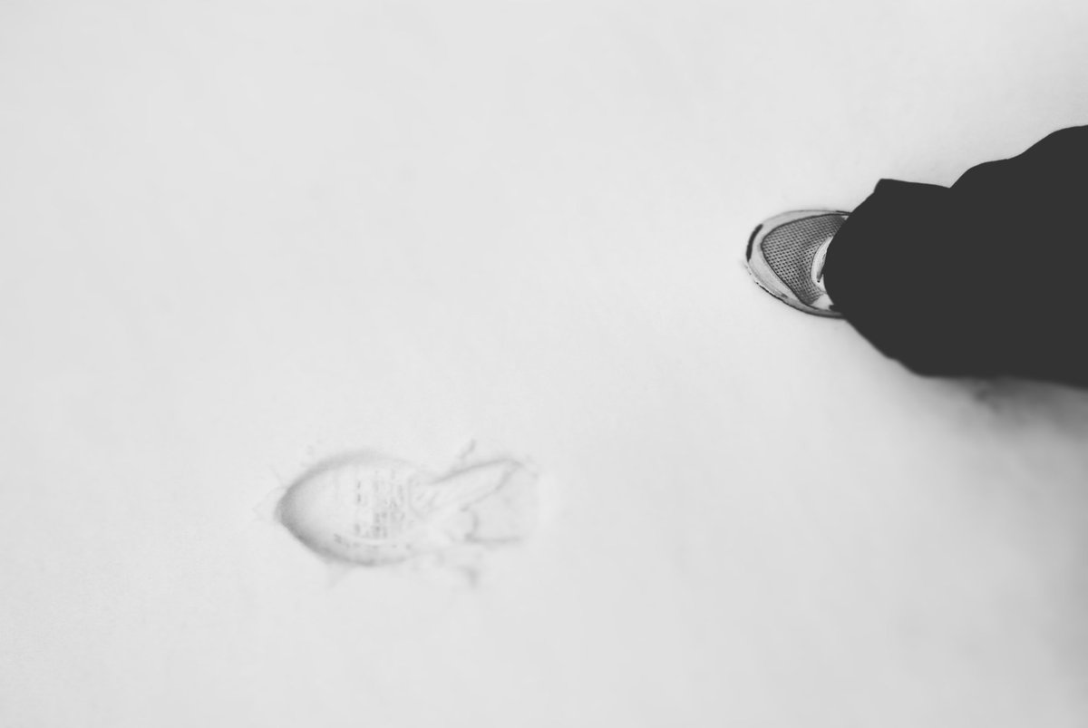 MMaraDini's tweet photo. Πούδρα!!! ❄⛄❄🏂
#snow #snowing #fresh_powder #footsteps #mark #letsdothis #letsgo #nieve #cloudno9 #blacknwhite https://t.co/kfgxMN6q0e