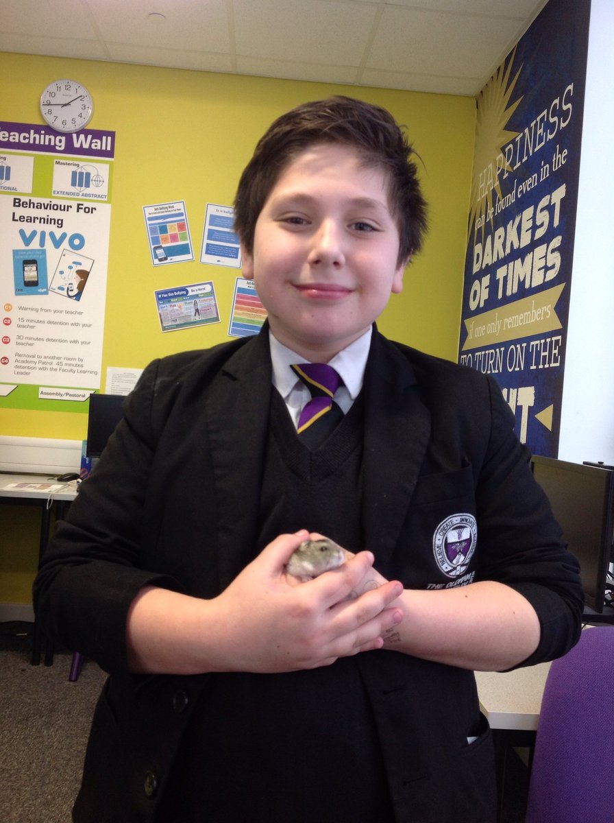 TOANWOODLANDS's tweet photo. Meet Pebbles our Russian Dwarf Hamster ❤️ https://t.co/kq8EOZkuN5
