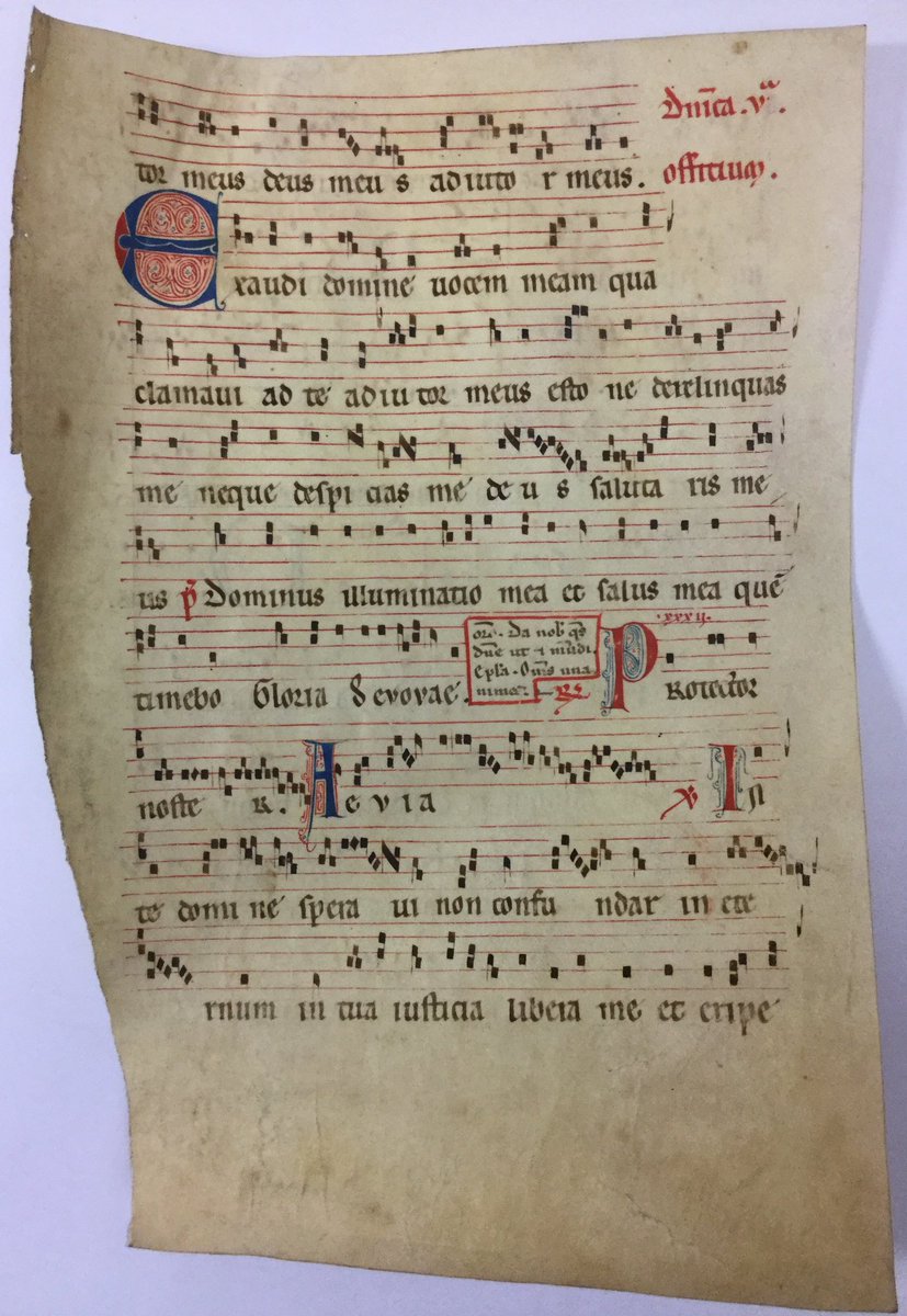 @ainoa_castro Spanish Gradual, Catalonia, ca. 1200. A few shots of the 4 fols. at OSU. MS.MR.Frag.175 #MSSfragments #OSURBML #medievalmusic