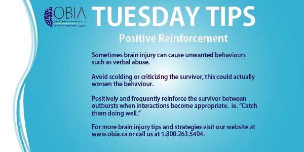 OntarioBIA's tweet image. #TuesdayTips - Positive Reinforcement just 1 part of #BrainBasics course. Find out more either in class or online: bit.ly/1MRyBIU