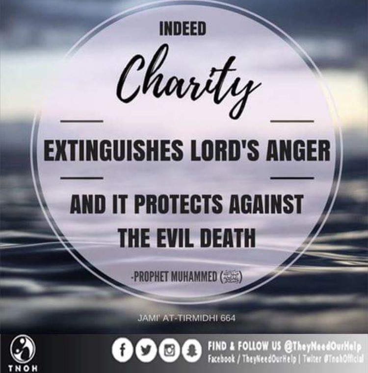 TnohOfficial's tweet image. #TheyNeedOurHelp Charity 🍁