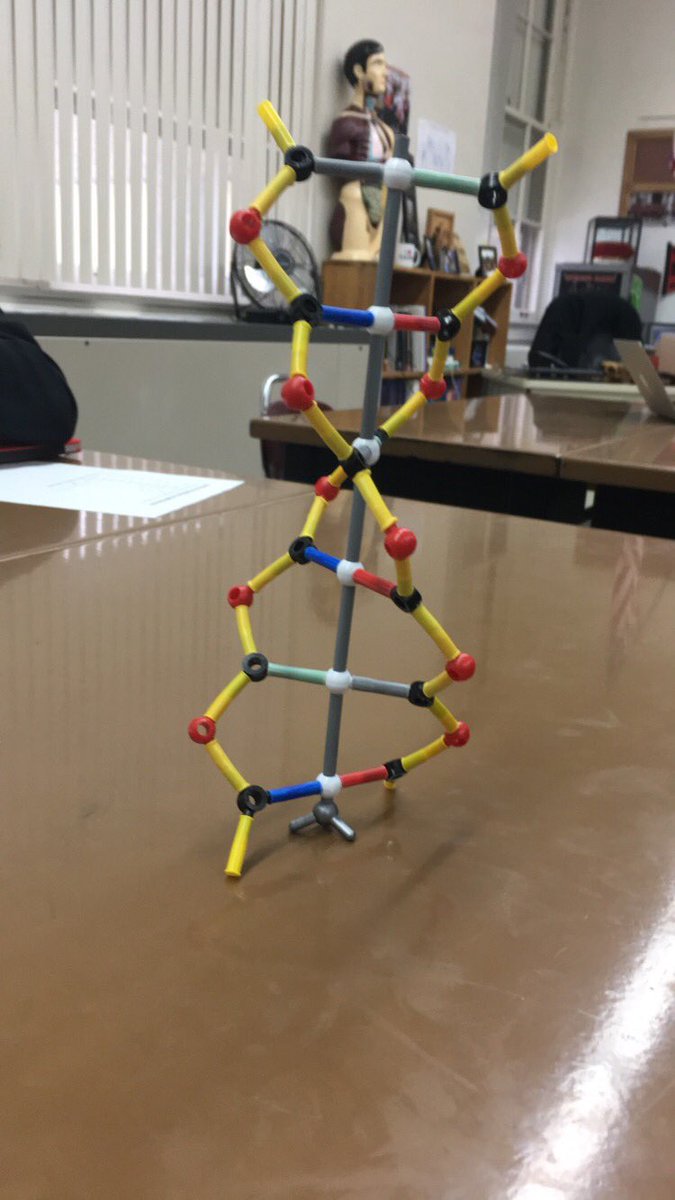 kendramae6's tweet image. @Mrbiology15 #2strands