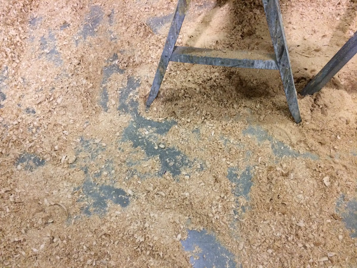 Carousel_Works's tweet image. How much wood could a wood chuck chuck if a wood chuck could chuck wood? #CarouselWorks #Carousel #woodworking #woodcarving