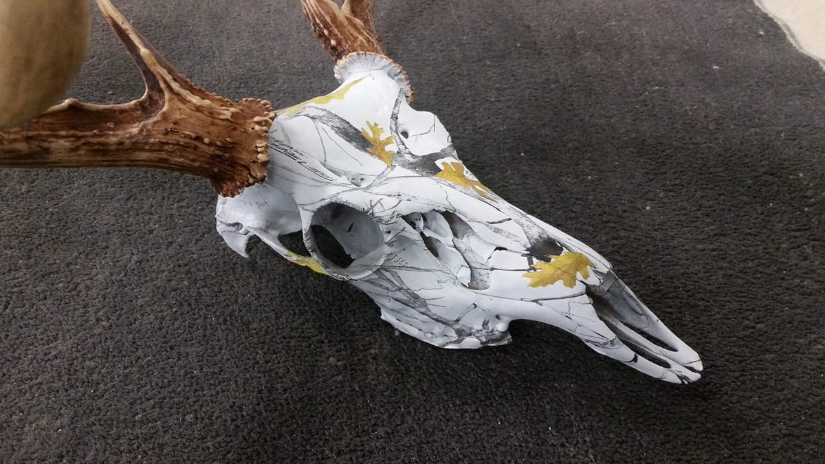 EagleEyeCustom tweet picture