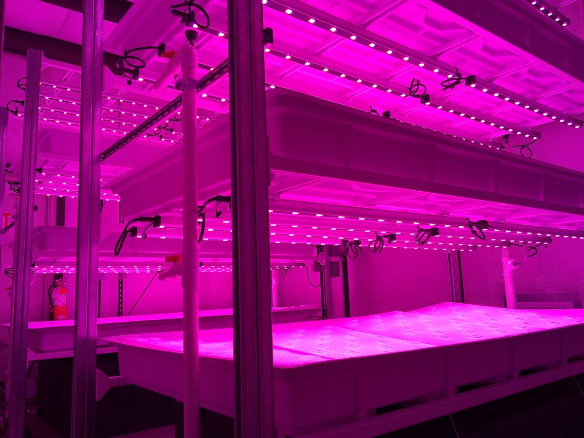indoorharvest's tweet photo. Are you building a #verticalfarm ? Interested in #verticalfaming ? We can #finance your build. #urbanag #agetch https://t.co/pM9yinR8Ap https://t.co/9v9bh3IrxN