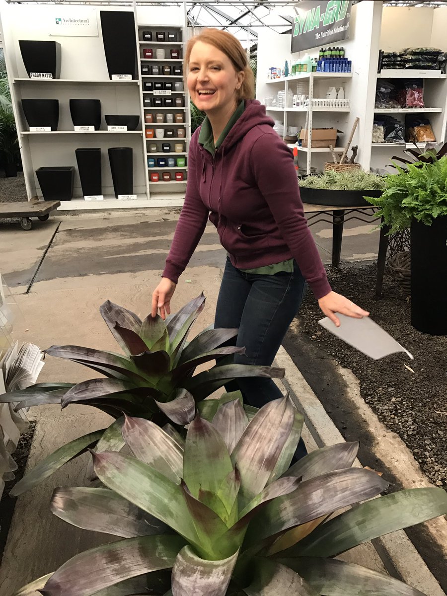 Buying Bromeliads, realized I matched my purchase..