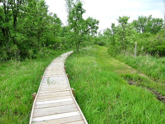 RunDestination's tweet image. Ice Age National Trail 
(Wisconsin)