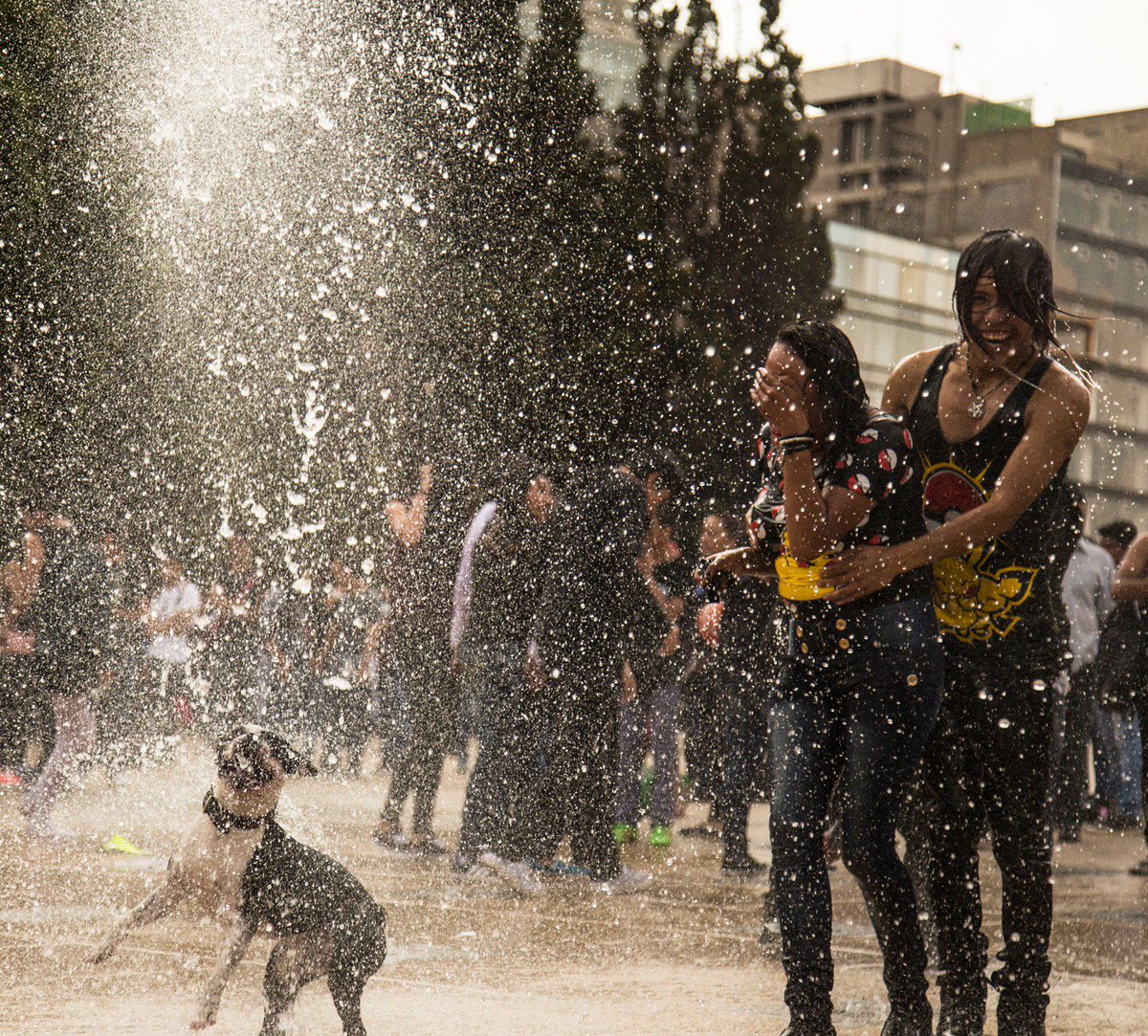 MXphotoWorkshop's tweet photo. Explore the streets of #mexico with me in the Advanced Street Photography #workshop on the 27-29th of January #streetphotography https://t.co/RXw6Cuv3Lx