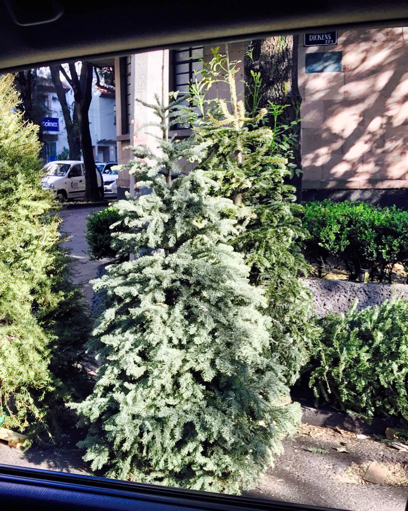 Laylyki's tweet image. Cadáveres ya párenle