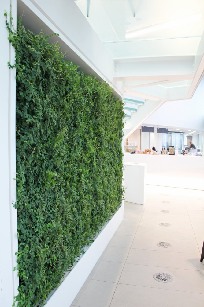 Plant Designs London tweet media