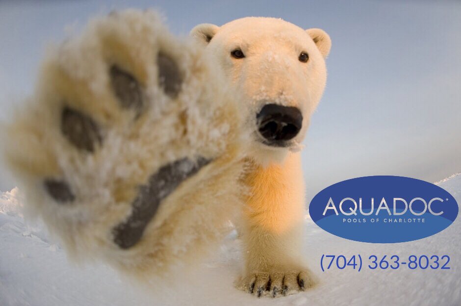 AquadocPools tweet picture