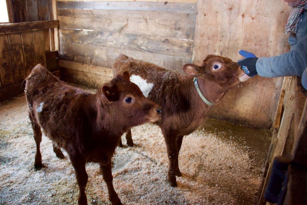 GallagherNA's tweet image. #FarmerHer Says a Big Perk of #Farming is “the awe of being confronted with the beauty of creation” buff.ly/2i0v0Nw #AgChat