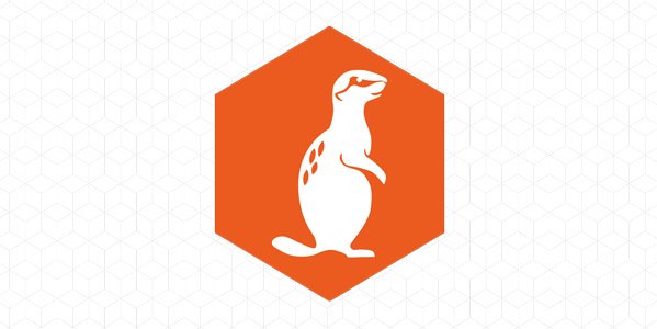 ActiveState's tweet photo. We're excited about Go! Read the latest blog by @ZooFood discussing our #ActiveGo beta (coming in Feb 2017) https://t.co/Vp3PfdoC2R #golang https://t.co/pHrPP0gLYl