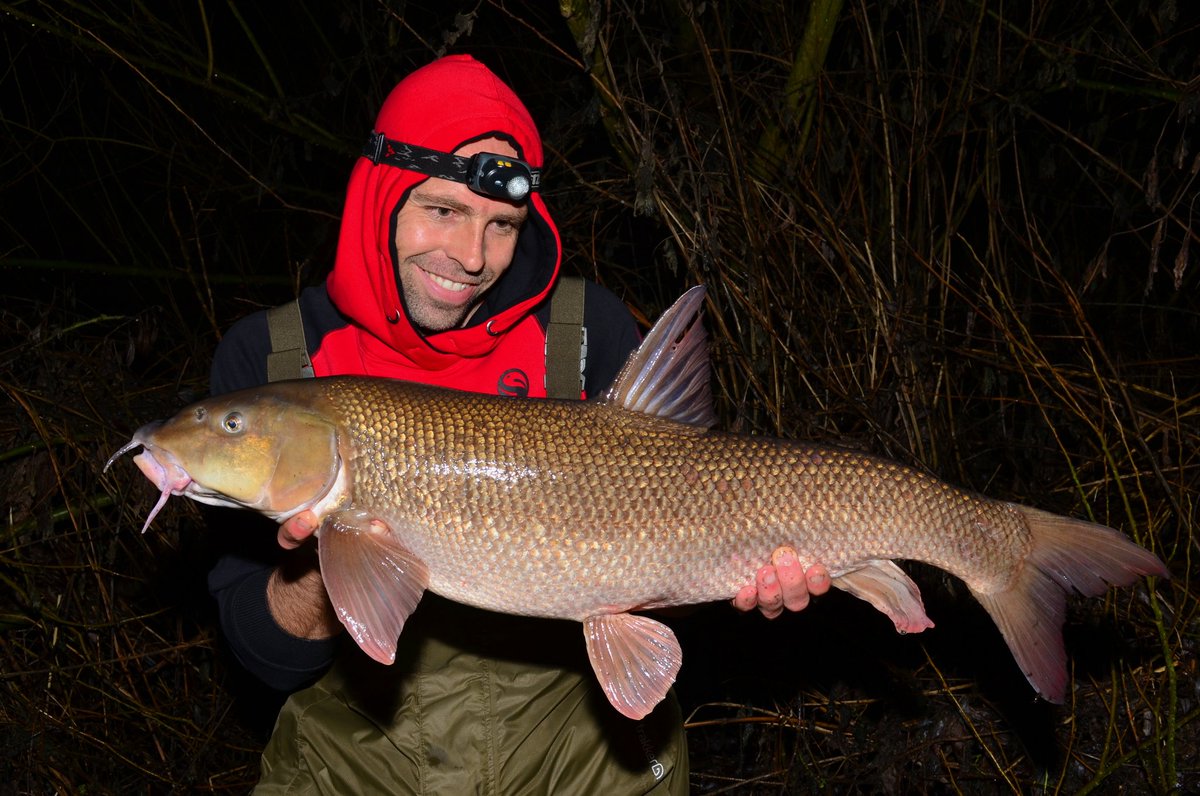 Biggest barbel I've ever had the pleasure of holding up. 
16.2lb of brilliantness!!!
😆😆😆