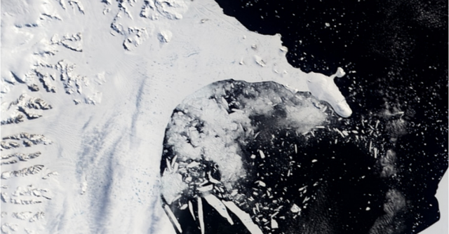 climatehawk1 tweet media