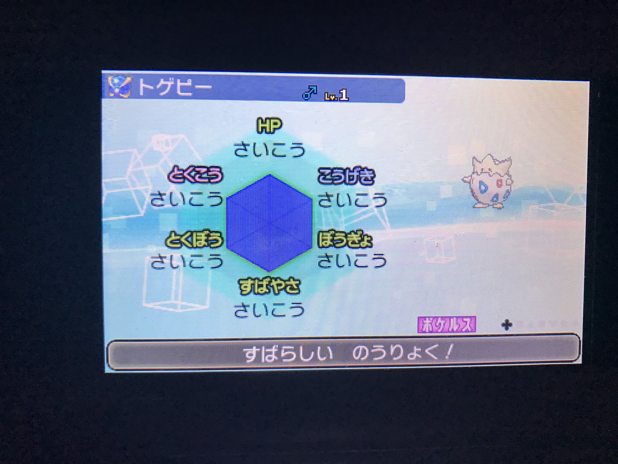 まぐろ サン Pokemonsun 1113 Twitter