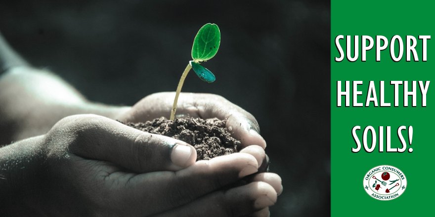 OrganicConsumer's tweet photo. TAKE ACTION! Sign this petition to support healthy soils! https://t.co/NbRyduJgV0 #CookOrganicNotThePlanet #RegenerativeAg Pls retweet! https://t.co/1fiNrVsH0E