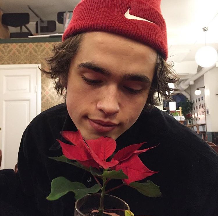 Ah, the acrid smell of Christmas in January. 🌹