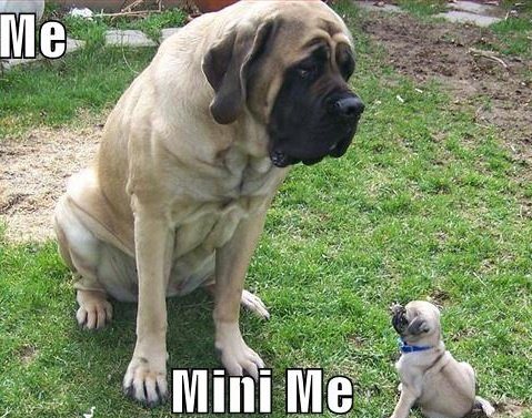 marshmallowAO's tweet photo. Hehehe, like father like son.  SOOOO CUTE! #Yay https://t.co/eB7Sk8z7Hg