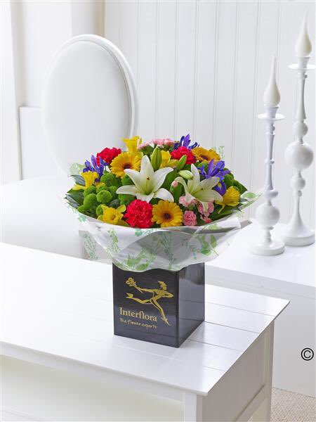 Fbkgirls's tweet photo. Spring flowers to brighten someone's day! https://t.co/wFIQ343Hf5