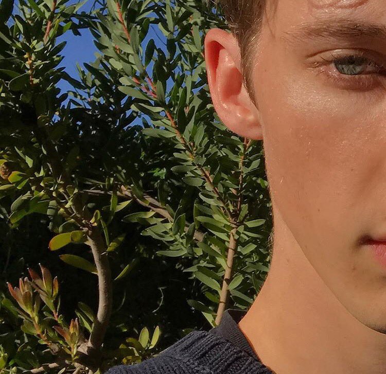 ur local frizz ball is back and he's here to stay. yay 🍃