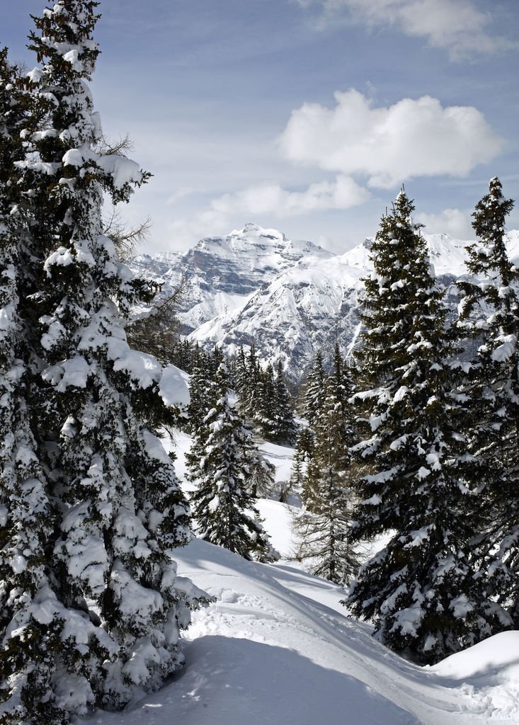 tirol:

   Bergeralm, Steinach am Brenner, Lisa Hörterer