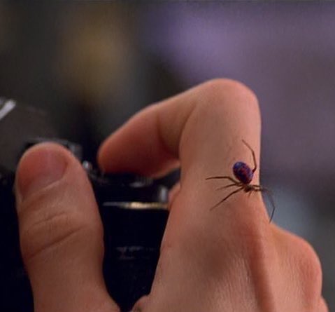 JDaley's tweet image. Everything is starting to make sense. #Greenwall @OpTic_Scumper