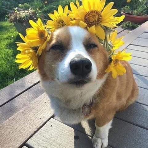 OMG🌼💕