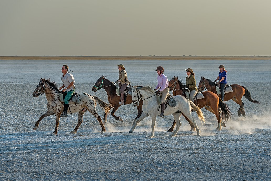 AliceGully's tweet photo. Botswana riding safaris - who are they for? https://t.co/UUA1zfgcKB @RideBotswana #EventersHour https://t.co/PbQ1uoc00p