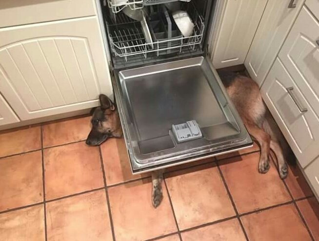 ChistesDePepito's tweet photo. Cuando duermes en casa de un amigo y no te da nada para taparte. https://t.co/xb4SxEz4SR