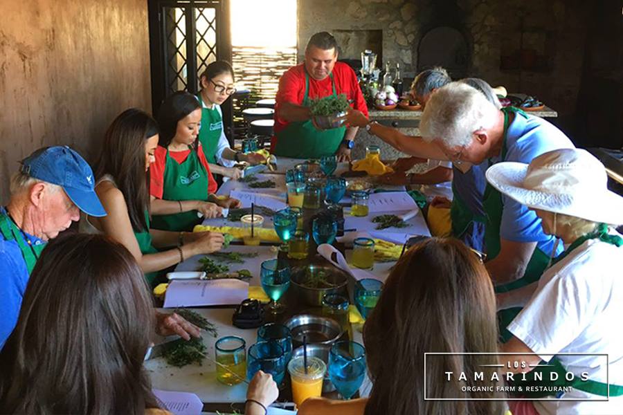 LosTamarindosMX's tweet photo. It's noon and @LosTamarindosMX #Organic #CookingClass is underway, wonder what #ChefGabriel is sharing with his students. #FarmToTable https://t.co/BOiDJh3PaY